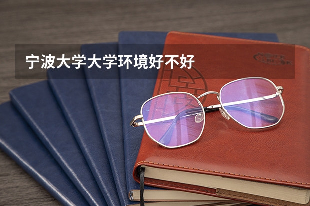 宁波大学大学环境好不好