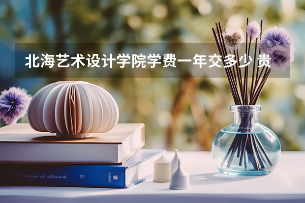 北海艺术设计学院学费一年交多少 贵不贵