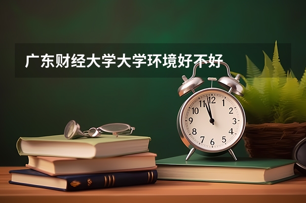 广东财经大学大学环境好不好