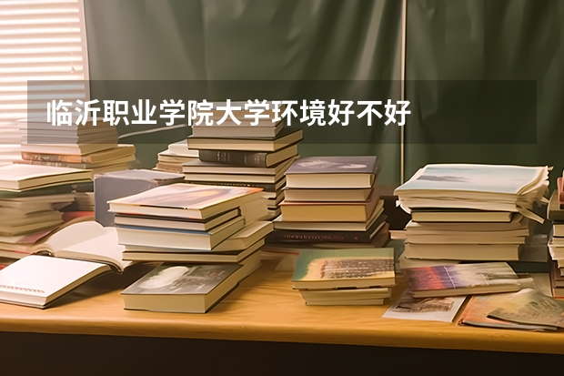 临沂职业学院大学环境好不好