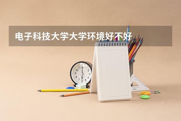 电子科技大学大学环境好不好