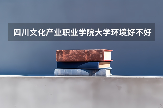 四川文化产业职业学院大学环境好不好
