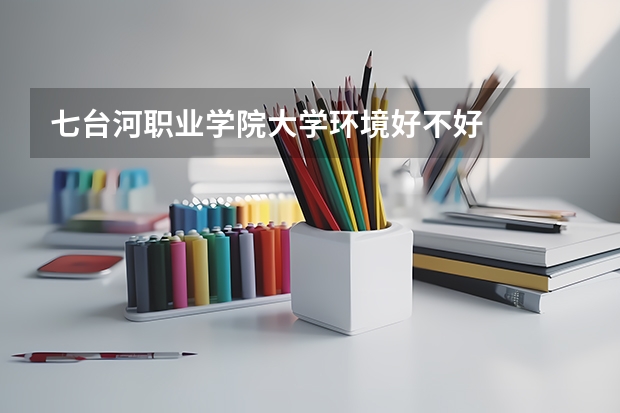七台河职业学院大学环境好不好