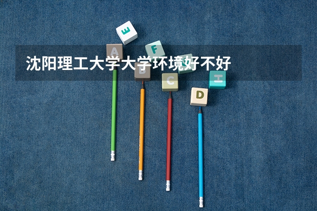 沈阳理工大学大学环境好不好