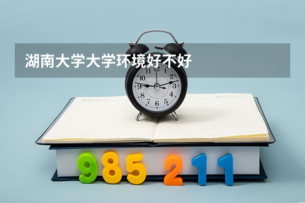 湖南大学大学环境好不好