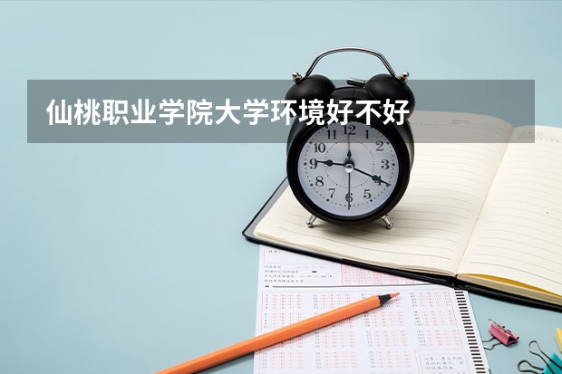 仙桃职业学院大学环境好不好