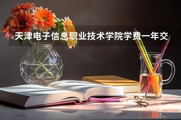 天津电子信息职业技术学院学费一年交多少 贵不贵