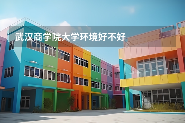 武汉商学院大学环境好不好