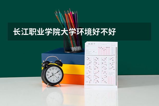 长江职业学院大学环境好不好
