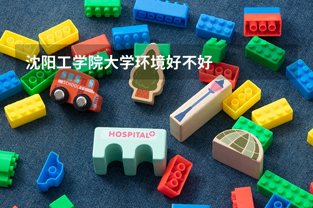 沈阳工学院大学环境好不好