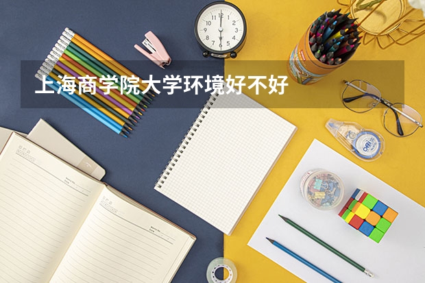 上海商学院大学环境好不好