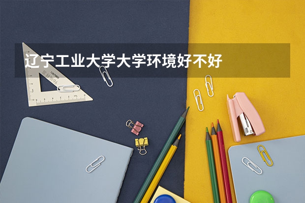 辽宁工业大学大学环境好不好