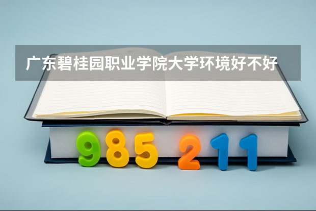 广东碧桂园职业学院大学环境好不好