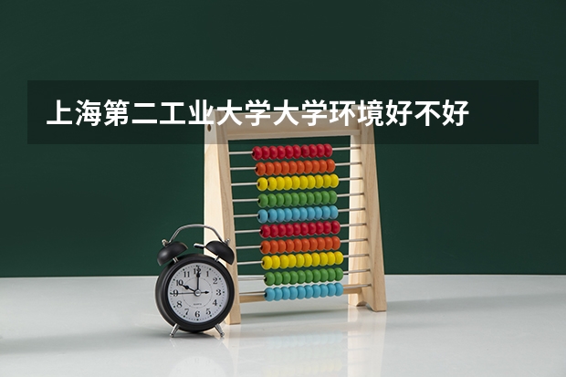 上海第二工业大学大学环境好不好