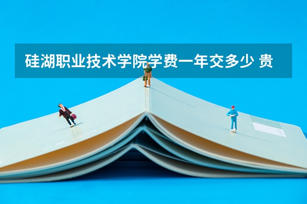 硅湖职业技术学院学费一年交多少 贵不贵