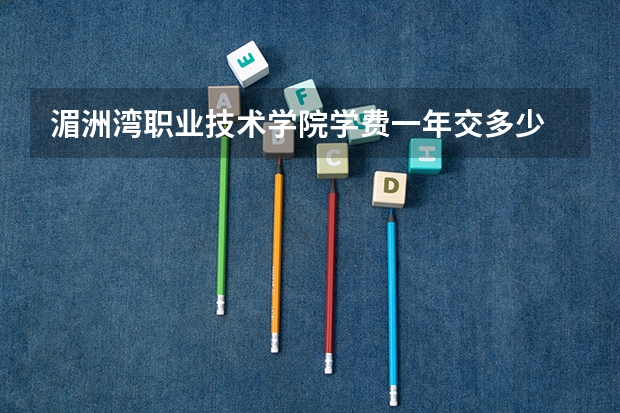 湄洲湾职业技术学院学费一年交多少 贵不贵