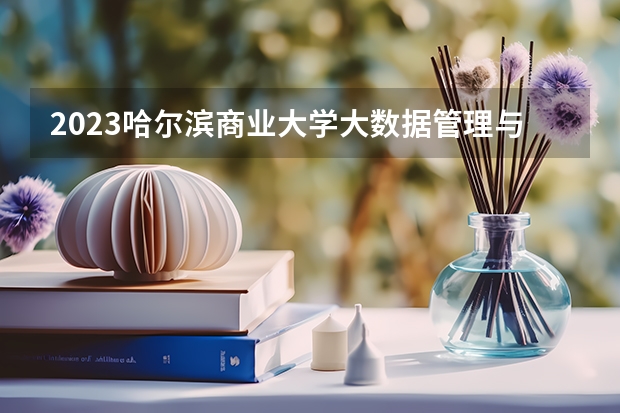 2023哈尔滨商业大学大数据管理与应用专业分数线是多少（专业历年分数线总汇）