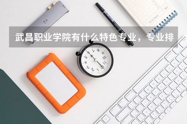 武昌职业学院有什么特色专业，专业排名如何