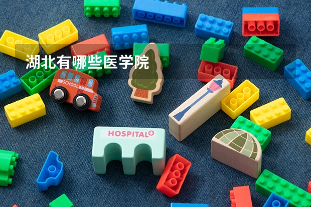 湖北有哪些医学院