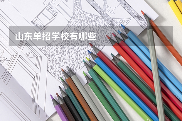山东单招学校有哪些