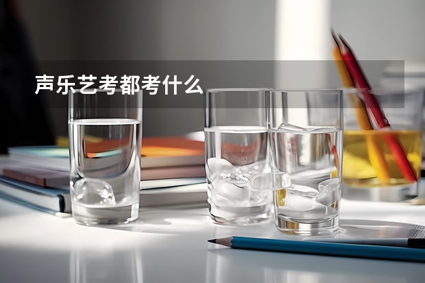 声乐艺考都考什么