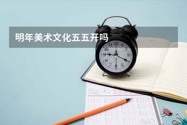 明年美术文化五五开吗