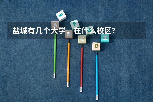 盐城有几个大学，在什么校区？