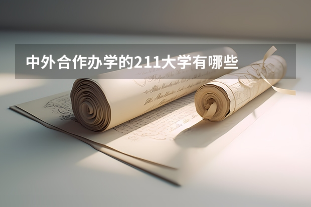中外合作办学的211大学有哪些