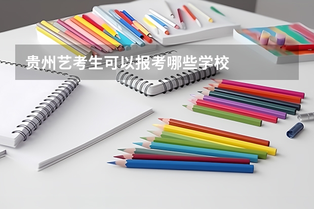 贵州艺考生可以报考哪些学校