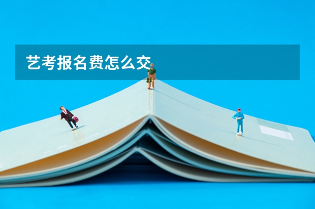 艺考报名费怎么交
