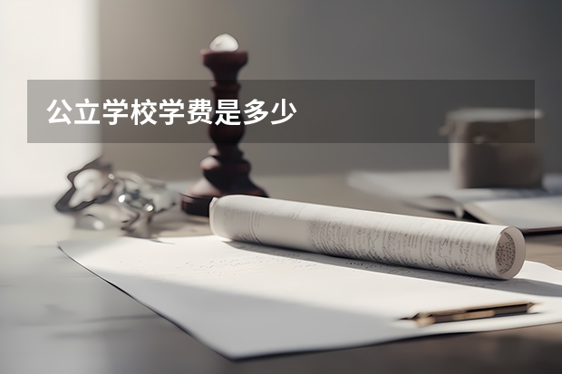 公立学校学费是多少