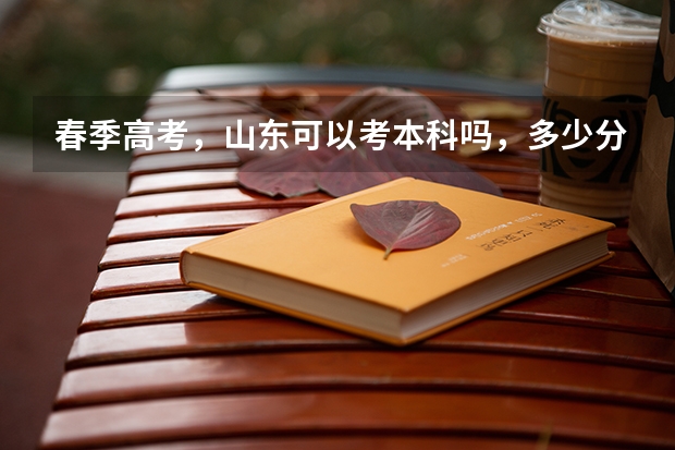 春季高考，山东可以考本科吗，多少分左右