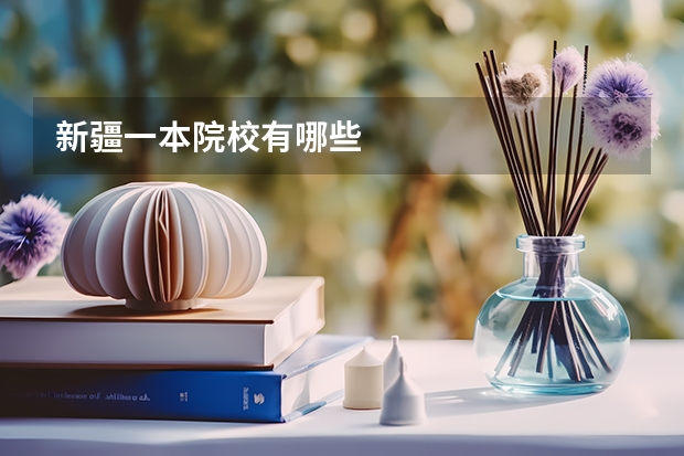 新疆一本院校有哪些