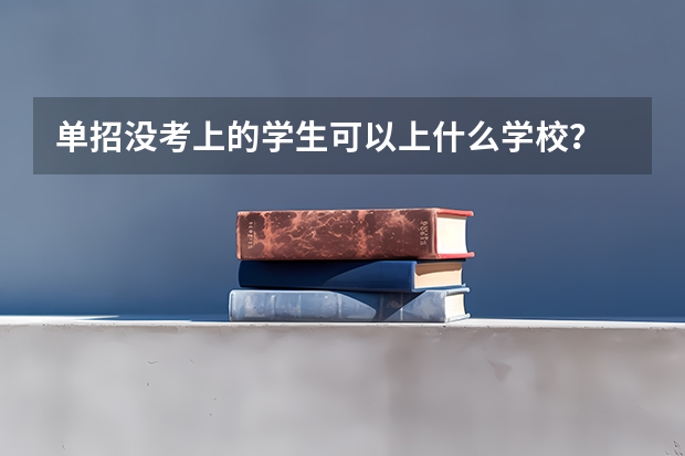 单招没考上的学生可以上什么学校？