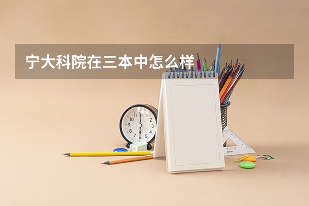 宁大科院在三本中怎么样