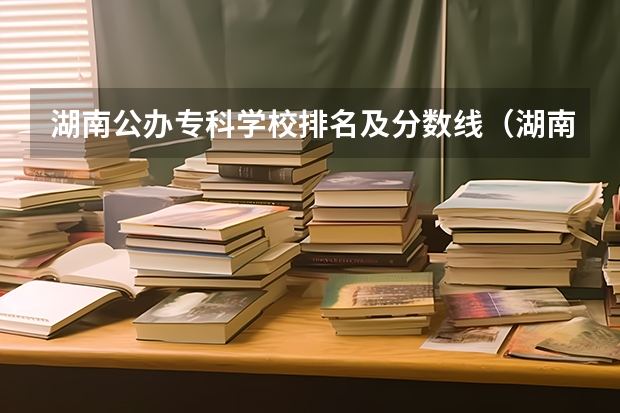湖南公办专科学校排名及分数线（湖南单招分数最低的公办学校）