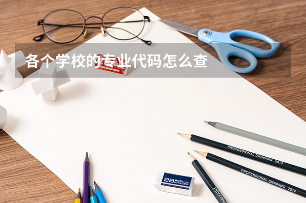 各个学校的专业代码怎么查