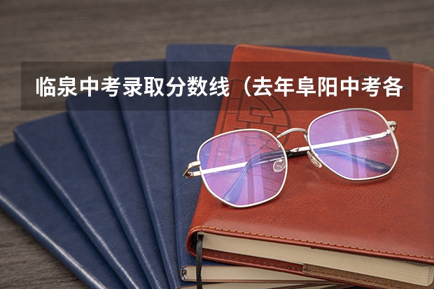临泉中考录取分数线（去年阜阳中考各学校录取分数线）
