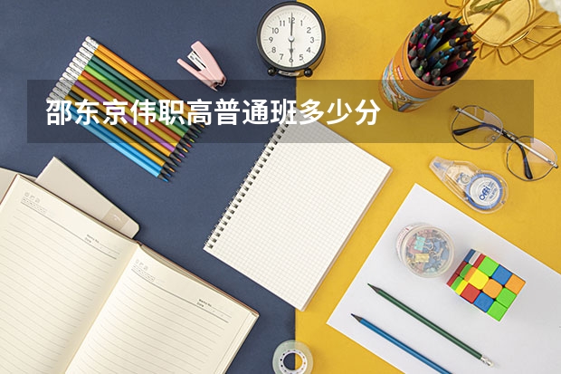 邵东京伟职高普通班多少分