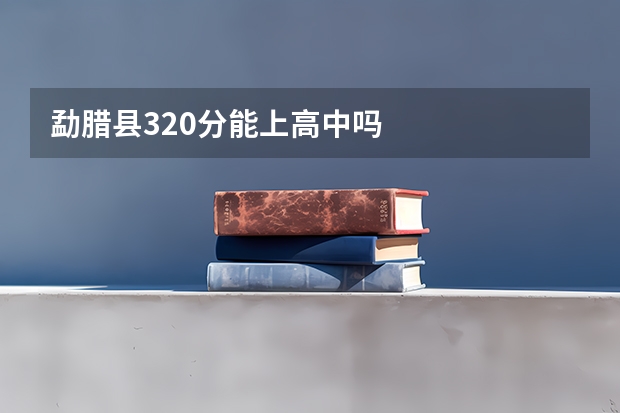 勐腊县320分能上高中吗