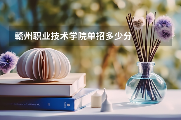 赣州职业技术学院单招多少分