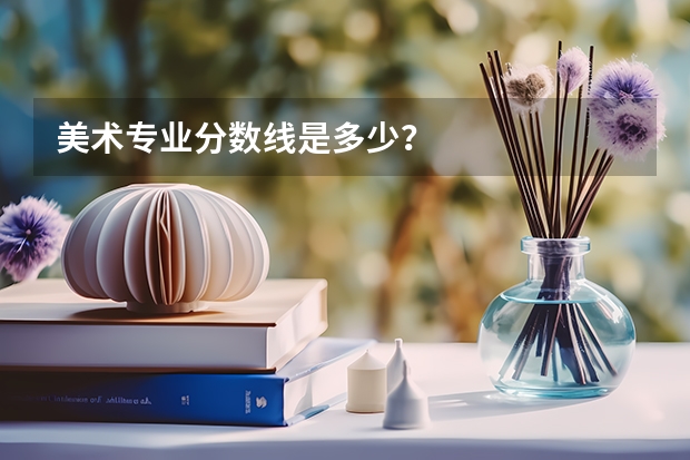 美术专业分数线是多少？