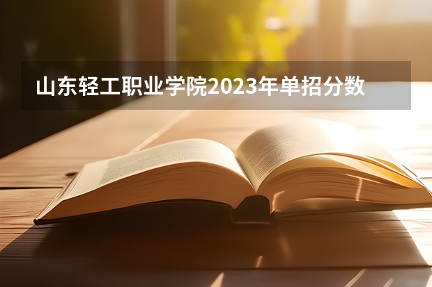 山东轻工职业学院2023年单招分数线预估是多少？