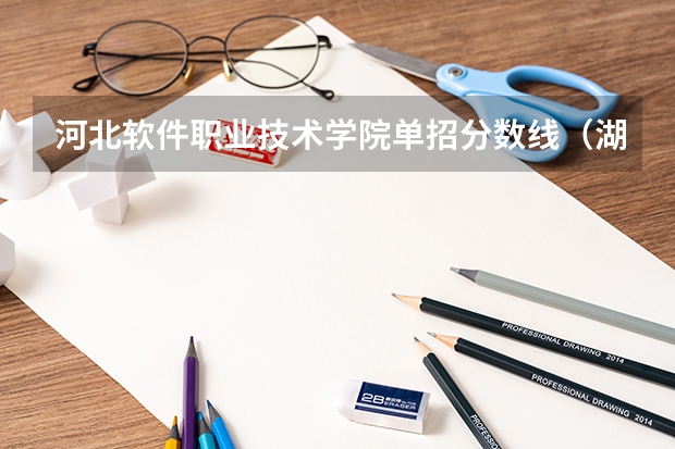 河北软件职业技术学院单招分数线（湖南单招录取分数线）