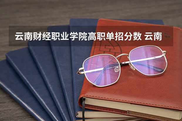 云南财经职业学院高职单招分数 云南高职单招学校及分数线