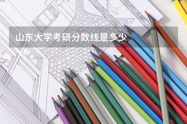 山东大学考研分数线是多少