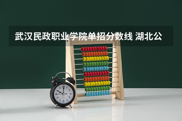 武汉民政职业学院单招分数线 湖北公办专科学校排名榜及录取分数线