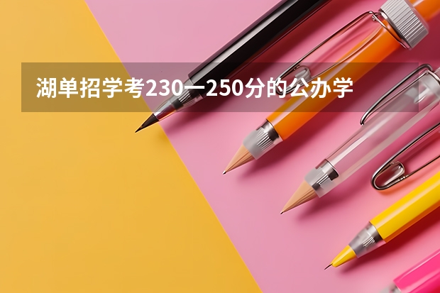 湖单招学考230一250分的公办学校有那些（湖南2023年单招各学校分数线）