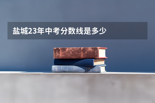 盐城23年中考分数线是多少