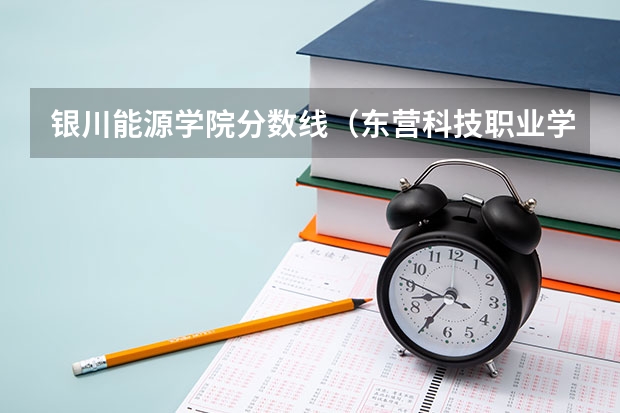 银川能源学院分数线（东营科技职业学院春考录取线）